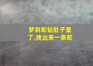 梦到蛇钻肚子里了,拽出来一条蛇