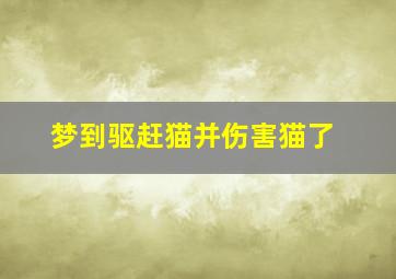 梦到驱赶猫并伤害猫了