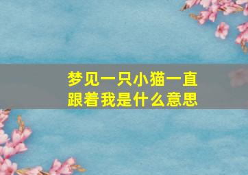 梦见一只小猫一直跟着我是什么意思