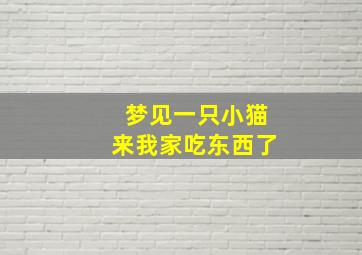 梦见一只小猫来我家吃东西了