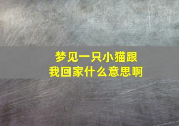 梦见一只小猫跟我回家什么意思啊