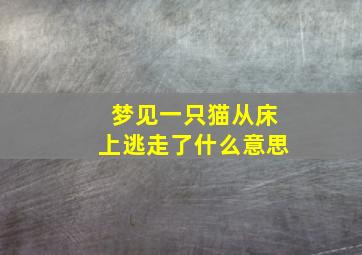 梦见一只猫从床上逃走了什么意思