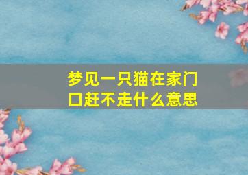 梦见一只猫在家门口赶不走什么意思