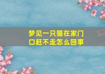 梦见一只猫在家门口赶不走怎么回事