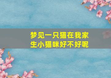 梦见一只猫在我家生小猫咪好不好呢