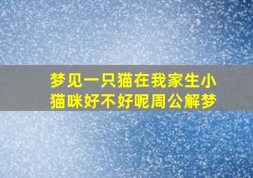 梦见一只猫在我家生小猫咪好不好呢周公解梦