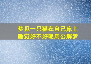 梦见一只猫在自己床上睡觉好不好呢周公解梦