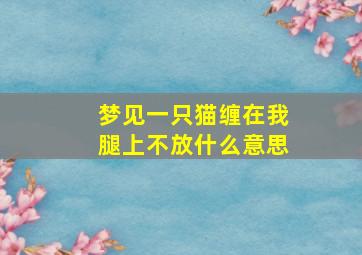 梦见一只猫缠在我腿上不放什么意思