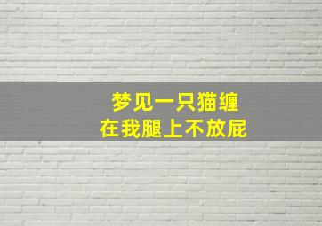 梦见一只猫缠在我腿上不放屁