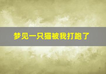 梦见一只猫被我打跑了