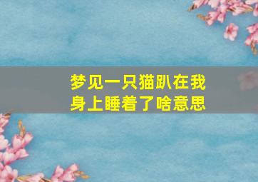 梦见一只猫趴在我身上睡着了啥意思