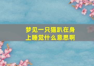 梦见一只猫趴在身上睡觉什么意思啊