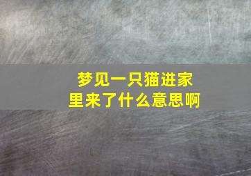 梦见一只猫进家里来了什么意思啊