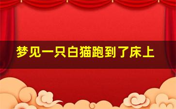 梦见一只白猫跑到了床上