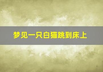 梦见一只白猫跳到床上