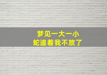 梦见一大一小蛇追着我不放了