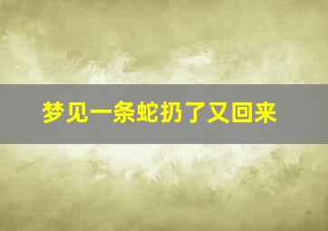 梦见一条蛇扔了又回来