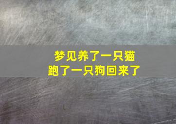 梦见养了一只猫跑了一只狗回来了