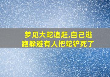 梦见大蛇追赶,自己逃跑躲避有人把蛇铲死了