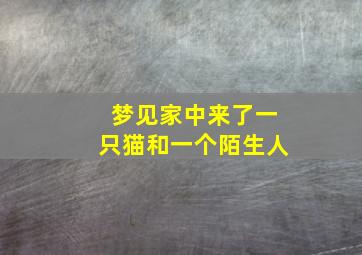 梦见家中来了一只猫和一个陌生人