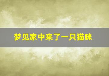 梦见家中来了一只猫咪