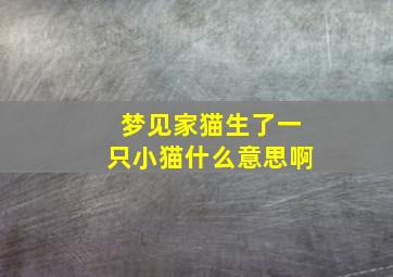 梦见家猫生了一只小猫什么意思啊