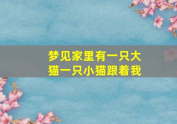 梦见家里有一只大猫一只小猫跟着我