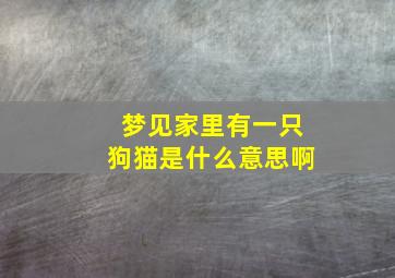 梦见家里有一只狗猫是什么意思啊