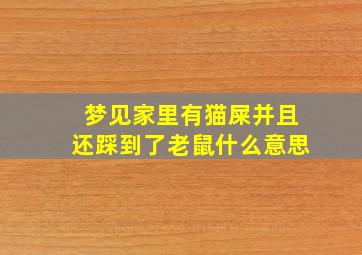 梦见家里有猫屎并且还踩到了老鼠什么意思