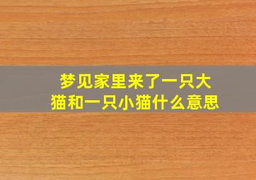 梦见家里来了一只大猫和一只小猫什么意思