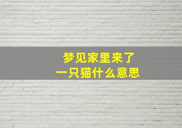 梦见家里来了一只猫什么意思