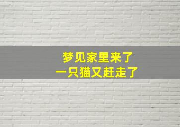 梦见家里来了一只猫又赶走了