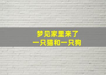 梦见家里来了一只猫和一只狗