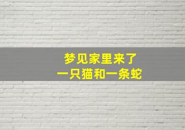 梦见家里来了一只猫和一条蛇