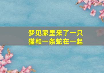 梦见家里来了一只猫和一条蛇在一起