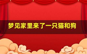 梦见家里来了一只猫和狗