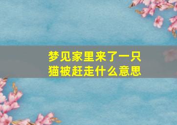 梦见家里来了一只猫被赶走什么意思