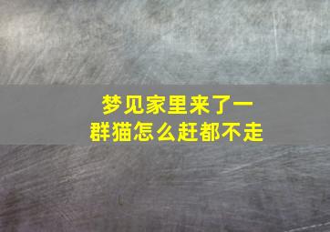 梦见家里来了一群猫怎么赶都不走