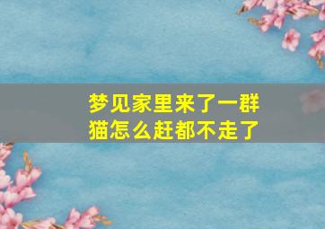 梦见家里来了一群猫怎么赶都不走了