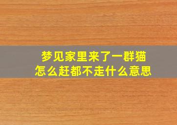 梦见家里来了一群猫怎么赶都不走什么意思