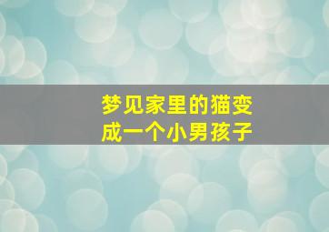 梦见家里的猫变成一个小男孩子