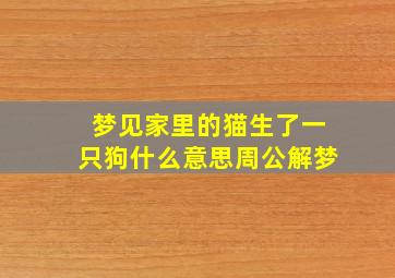 梦见家里的猫生了一只狗什么意思周公解梦