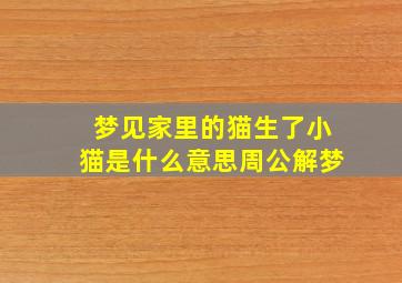 梦见家里的猫生了小猫是什么意思周公解梦