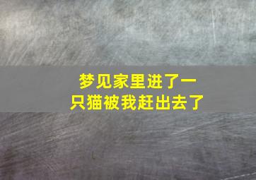 梦见家里进了一只猫被我赶出去了