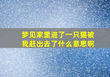 梦见家里进了一只猫被我赶出去了什么意思啊