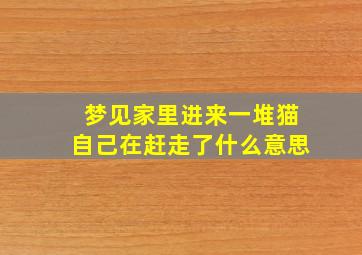 梦见家里进来一堆猫自己在赶走了什么意思