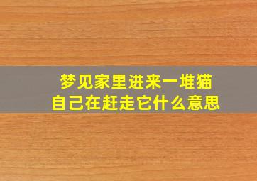 梦见家里进来一堆猫自己在赶走它什么意思