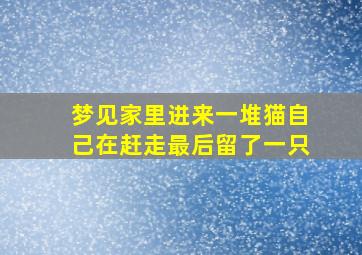 梦见家里进来一堆猫自己在赶走最后留了一只