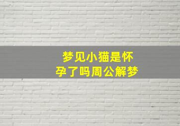 梦见小猫是怀孕了吗周公解梦