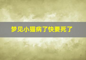 梦见小猫病了快要死了